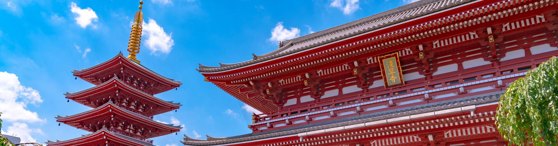 8 Days and 7 Nights -Tokyo - Kyoto - Japan