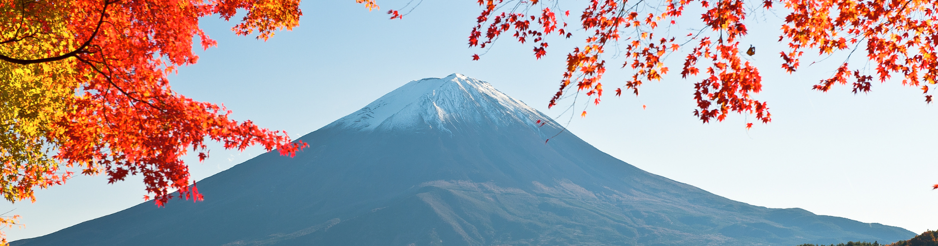 13 Days and 12 Nights - Japan and Korea