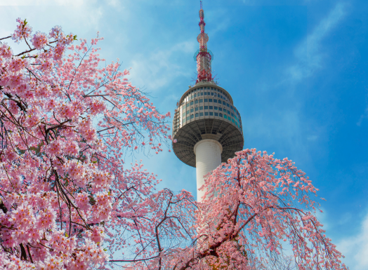 13 Days and 12 Nights - Japan and Korea